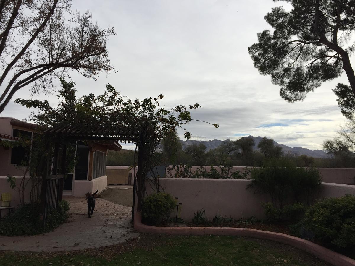 Casa Paloma B&B Tubac Bagian luar foto